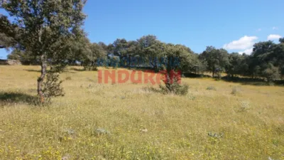 Rustic Finca in Millanes photo 10
