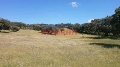 Finca rústica en venta en Millanes - Vista 4