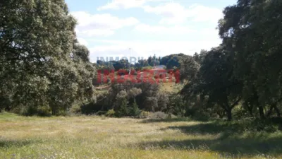 Finca rústica en venta en Millanes - Vista 5