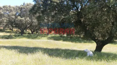 Finca rústica en venta en Millanes - Més