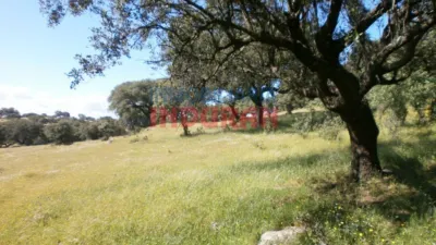 Rustic Finca in Millanes photo 5