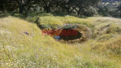 Rustic Finca in Millanes photo 6