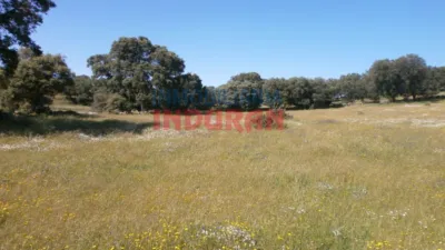 Rustic Finca in Millanes photo 7