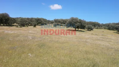 Rustic Finca in Millanes photo 9