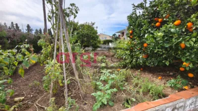 House in Mas Trader-Corral d'en Tort-Corral d'en Cona photo 2