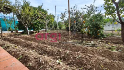 House in Mas Trader-Corral d'en Tort-Corral d'en Cona photo 3