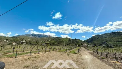 Chalet in Canillas de Aceituno photo 57