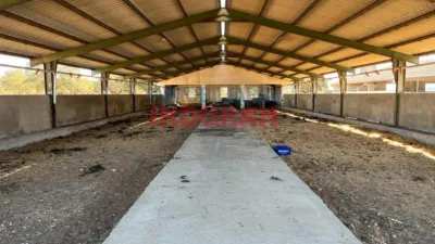 Rustic farm in Peraleda de la Mata photo 10