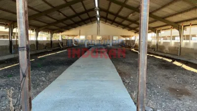 Rustic farm in Peraleda de la Mata photo 11