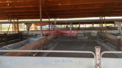 Rustic farm in Peraleda de la Mata photo 13