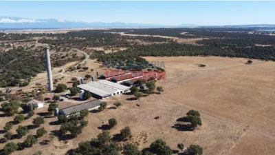 Finca rústica en venta en Peraleda de La Mata - Vista 4