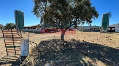 Finca rústica en venta en Peraleda de La Mata - Más