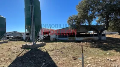 Rustic farm in Peraleda de la Mata photo 5