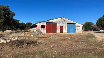Rustic farm in Peraleda de la Mata photo 6