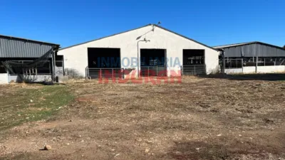 Rustic farm in Peraleda de la Mata photo 8