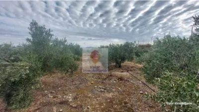 Rustic farm in Campo de Murcia photo 10