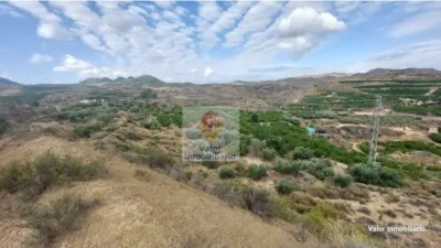 Rustic farm in Campo de Murcia photo 12