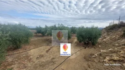 Rustic farm in Campo de Murcia photo 13