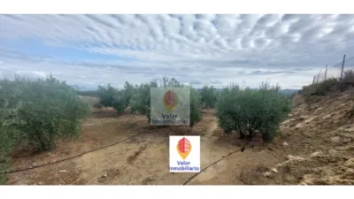 Rustic farm in Campo de Murcia photo 3