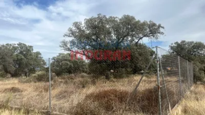 Rustic Finca in Navalmoral de la Mata photo 2