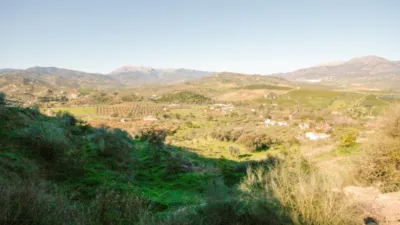 Rustic Finca in Coín photo 3