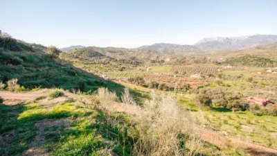 Rustic Finca in Coín photo 5