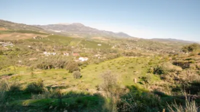 Rustic Finca in Coín photo 7