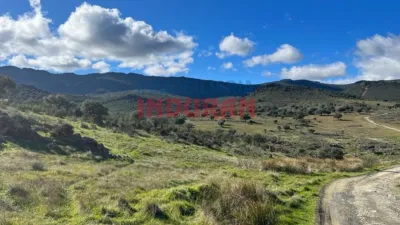 Rustic finca in Carrascalejo photo 11