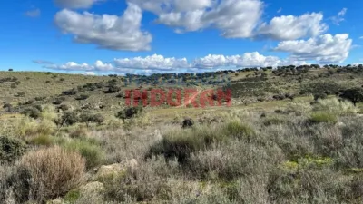 Rustic finca in Carrascalejo photo 7