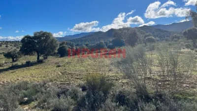 Rustic finca in Carrascalejo photo 9