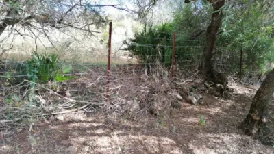 Rustic house in Arcos de la Frontera photo 20