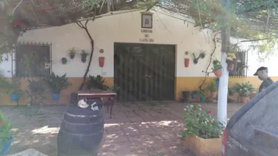 Rustic house in Arcos de la Frontera photo 5