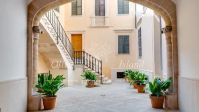 Apartment in La Seu photo 16