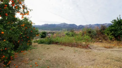 Rustic finca in La Alquería-Torrealquería photo 18