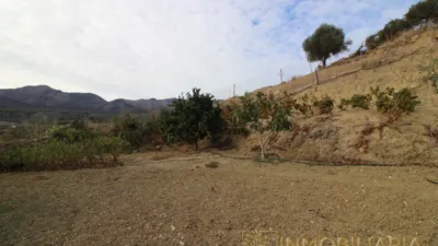 Rustic finca in La Alquería-Torrealquería photo 29