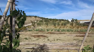 Rustic finca in La Alquería-Torrealquería photo 32