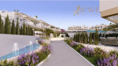 Pis – Torrevieja - Vista 4