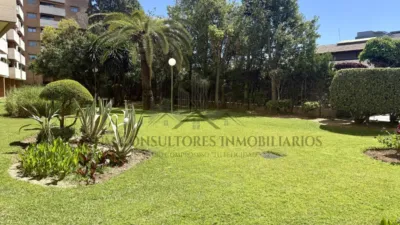 Apartment in Sur photo 2