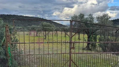House in Rincón de Ballesteros photo 9