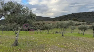 House in Rincón de Ballesteros photo 11
