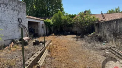 House in Rincón de Ballesteros photo 17