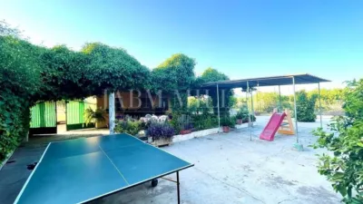 Rustic finca in Albatera photo 11