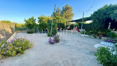 Rustic finca in Albatera photo 14