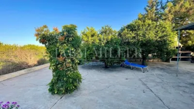 Rustic finca in Albatera photo 17