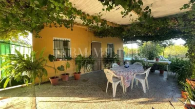 Rustic finca in Albatera photo 19