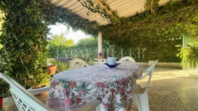 Rustic finca in Albatera photo 20