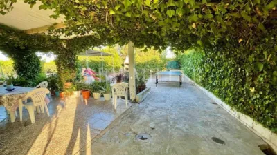 Rustic finca in Albatera photo 21