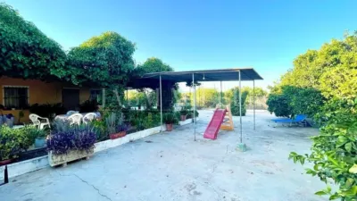 Rustic finca in Albatera photo 22