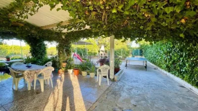 Rustic finca in Albatera photo 23