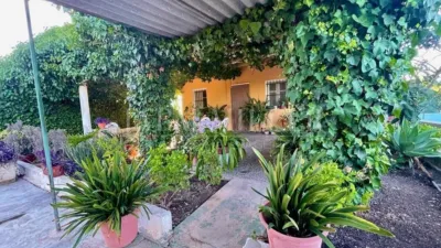 Rustic finca in Albatera photo 24